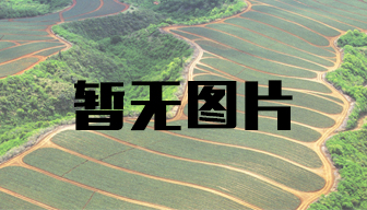 內(nèi)蒙古自治區(qū)黨委督查室聯(lián)合調(diào)研組深入華歐淀粉公司調(diào)研